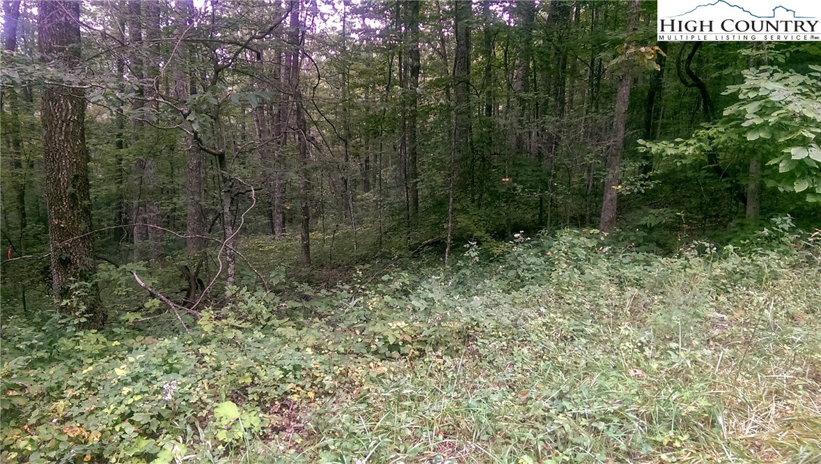 Lot #40 Mountain High Road Sparta, NC 28675 - Photo 2 of 4 Gallery Image 2