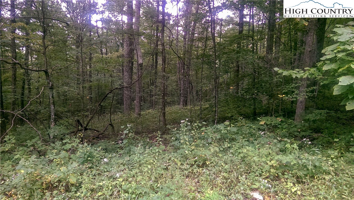Lot #40 Mountain High Road Sparta, NC 28675 - Photo 3 of 4 Gallery Image 3