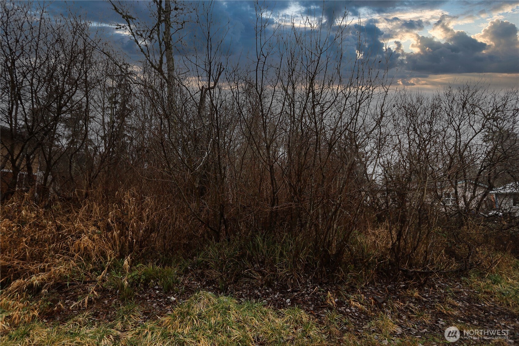 812 Thomas Street Aberdeen, WA 98520 - Photo 12 of 13 a view of a yard