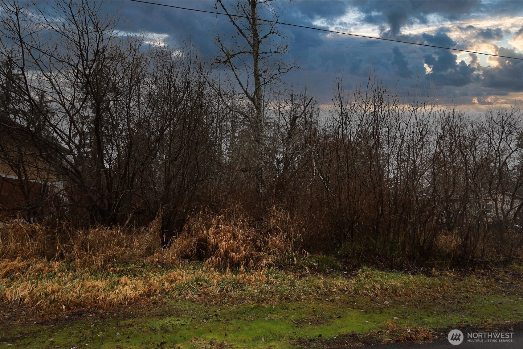812 Thomas Street Aberdeen, WA 98520 - Photo 13 of 13 a view of a yard
