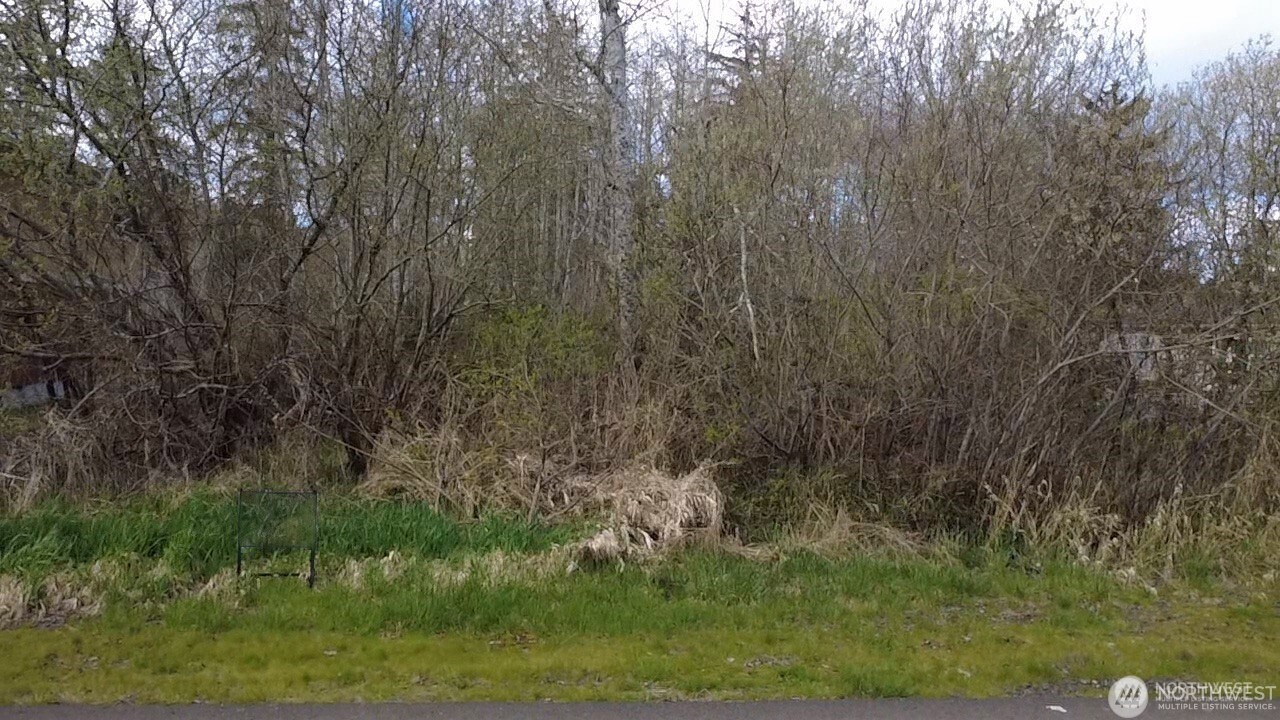 812 Thomas Street Aberdeen, WA 98520 - Photo 4 of 13 a view of a yard