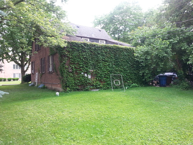 2156 Oak Road Homewood, IL 60430 - Photo 4 of 7 a backyard of a house with plants and large tree