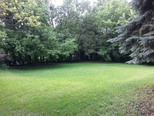 2156 Oak Road Homewood, IL 60430 - Photo 6 of 7 an outdoor space with a lake view