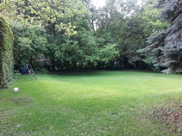 2156 Oak Road Homewood, IL 60430 - Photo 7 of 7 a view of a green yard