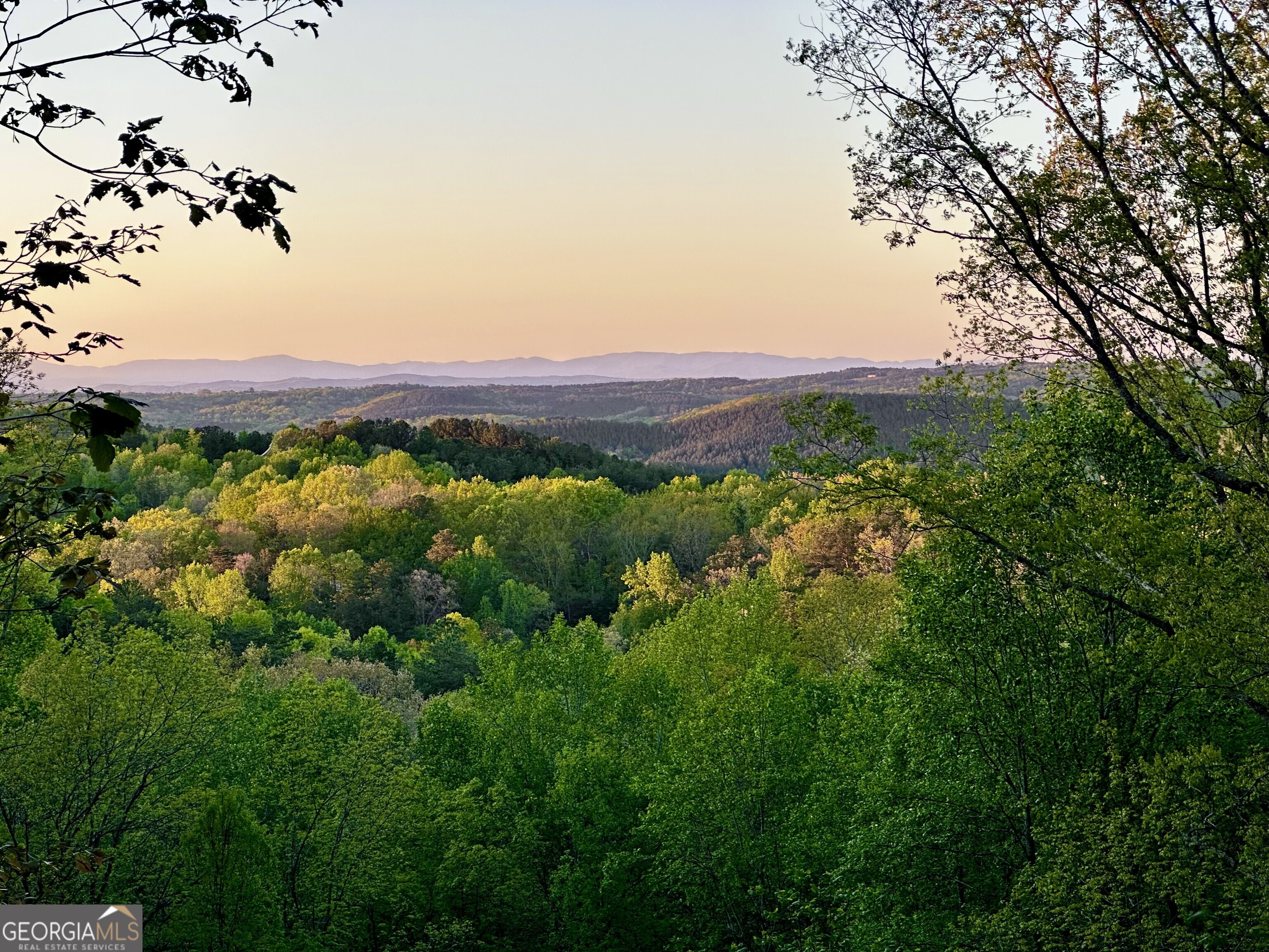 a view of a lush green forest with houses