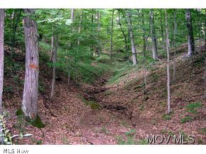 0 Davy Cain Road Harrisville, WV 26362 - Photo 5 of 6 Gallery Image 5
