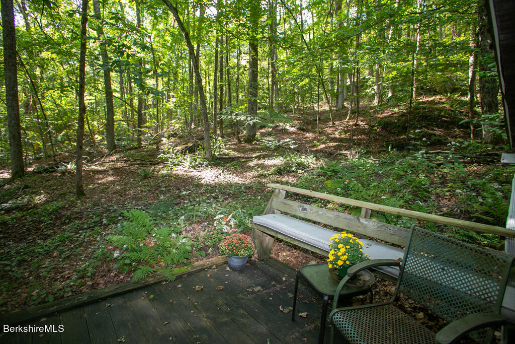 7 Mary Lyon Road Buckland, MA 01370 - Photo 46 of 60 48