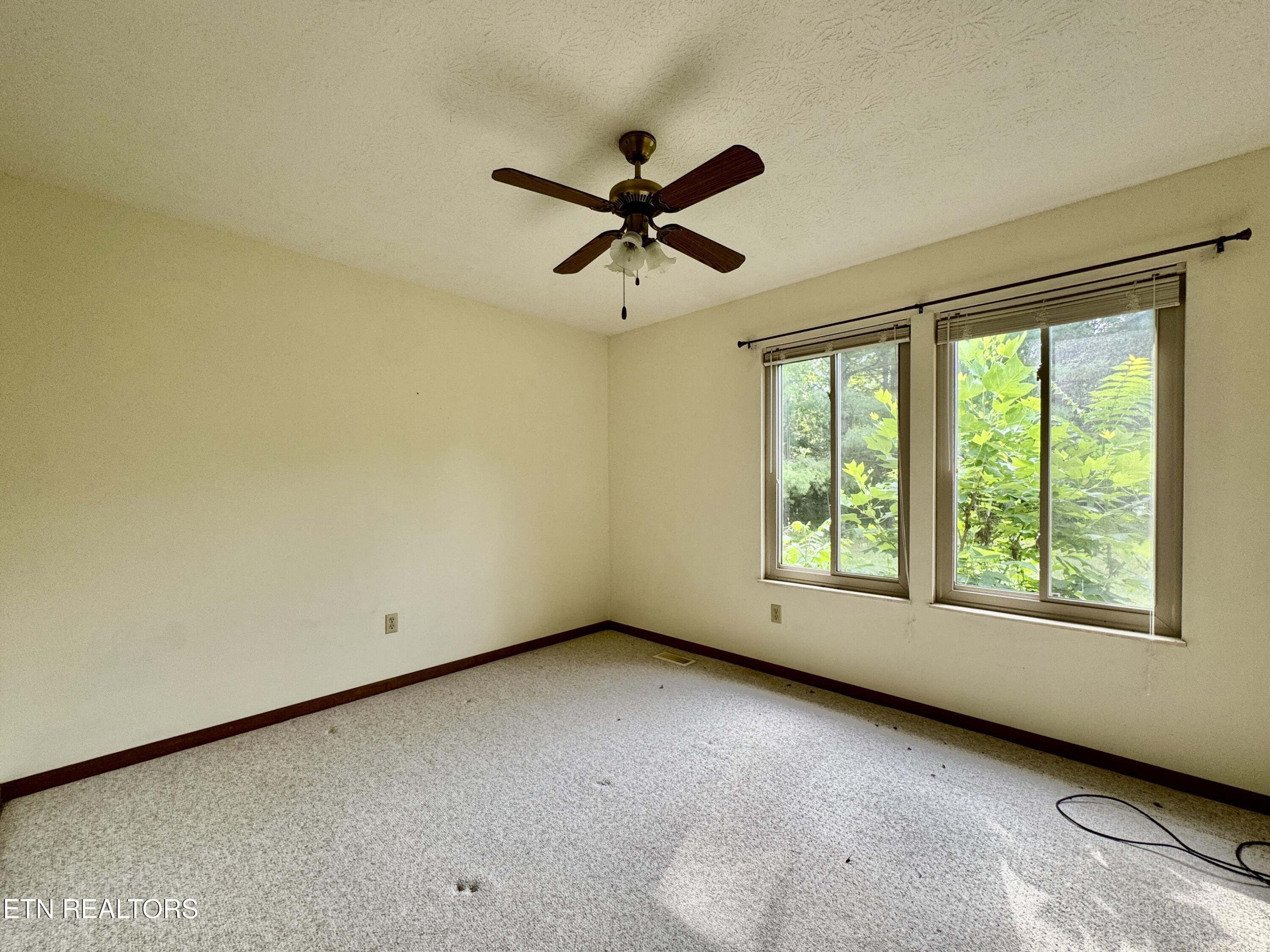 529 Peanut Road Parrottsville, TN 37843 - Photo 41 of 54 1-41