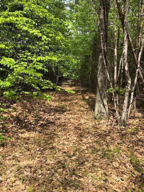 Lot 83-4 Cooks Mill Road Casco, ME 04015 - Photo 1 of 1 Dingee Lot
