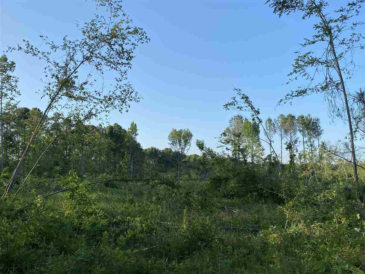 1 Bee Summers Road Lena, MS 39094 - Photo 2 of 4 Photo 2
