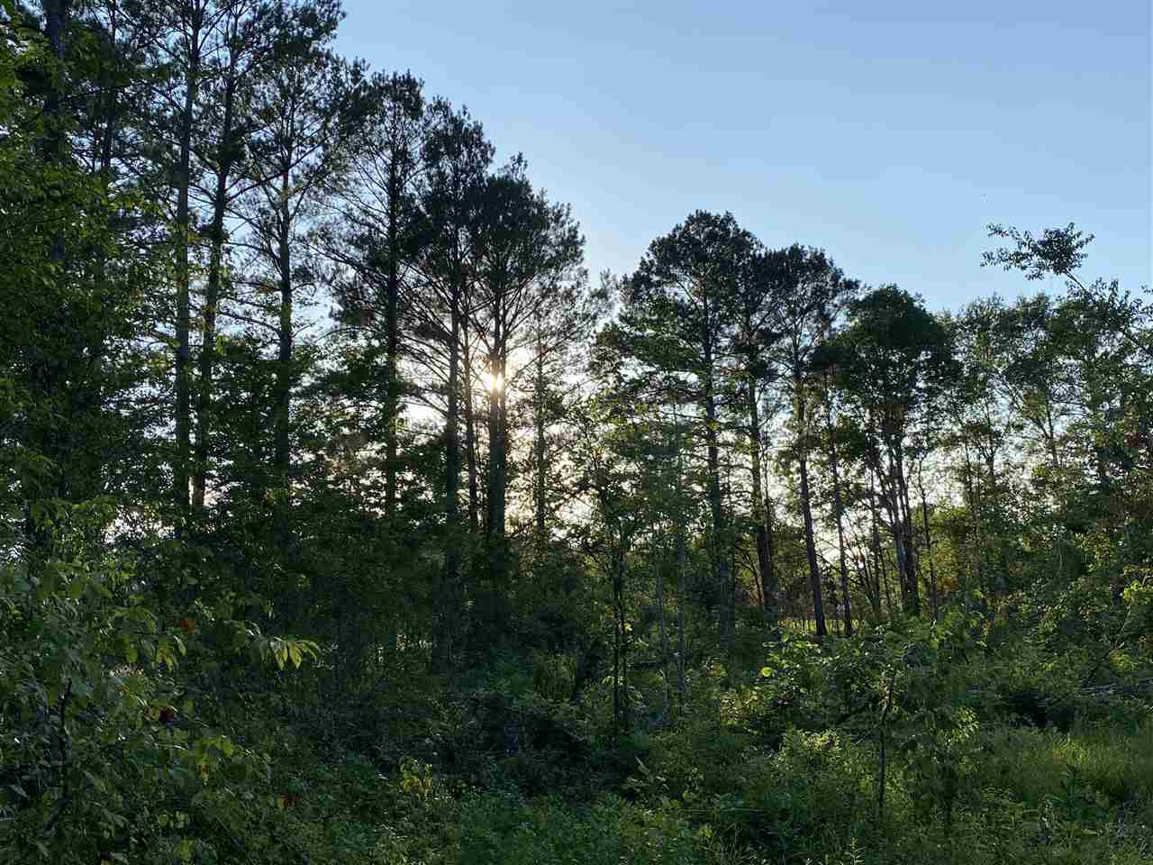1 Bee Summers Road Lena, MS 39094 - Photo 3 of 4 Photo 3