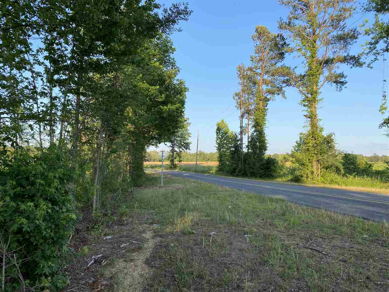 1 Bee Summers Road Lena, MS 39094 - Photo 4 of 4 Photo 4