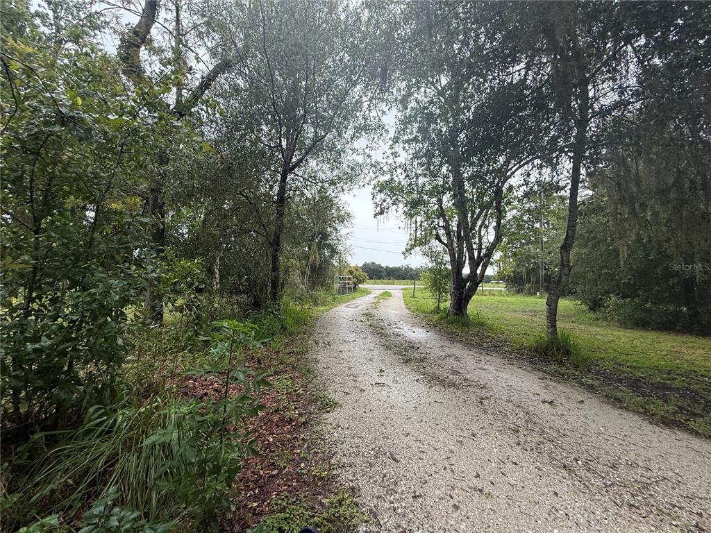 2480 Gene's Little Road Arcadia, FL 34266 - Photo 19 of 45
