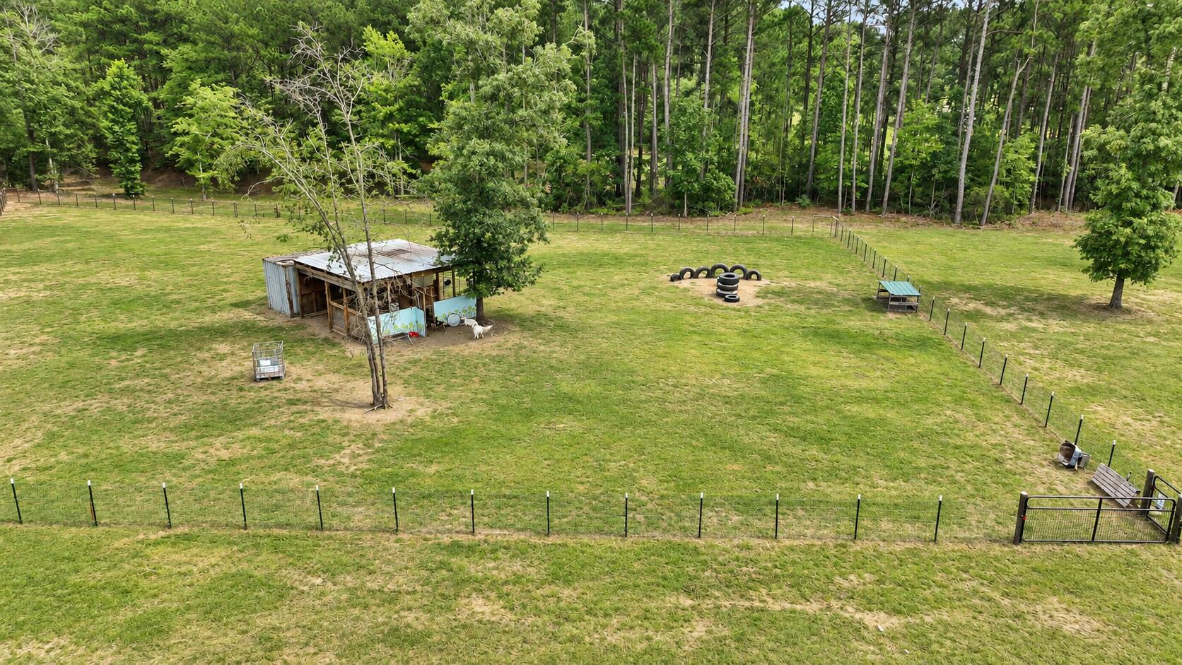 136 Thirteen Way Cross, SC 29436 - Photo 25 of 28 goat pen