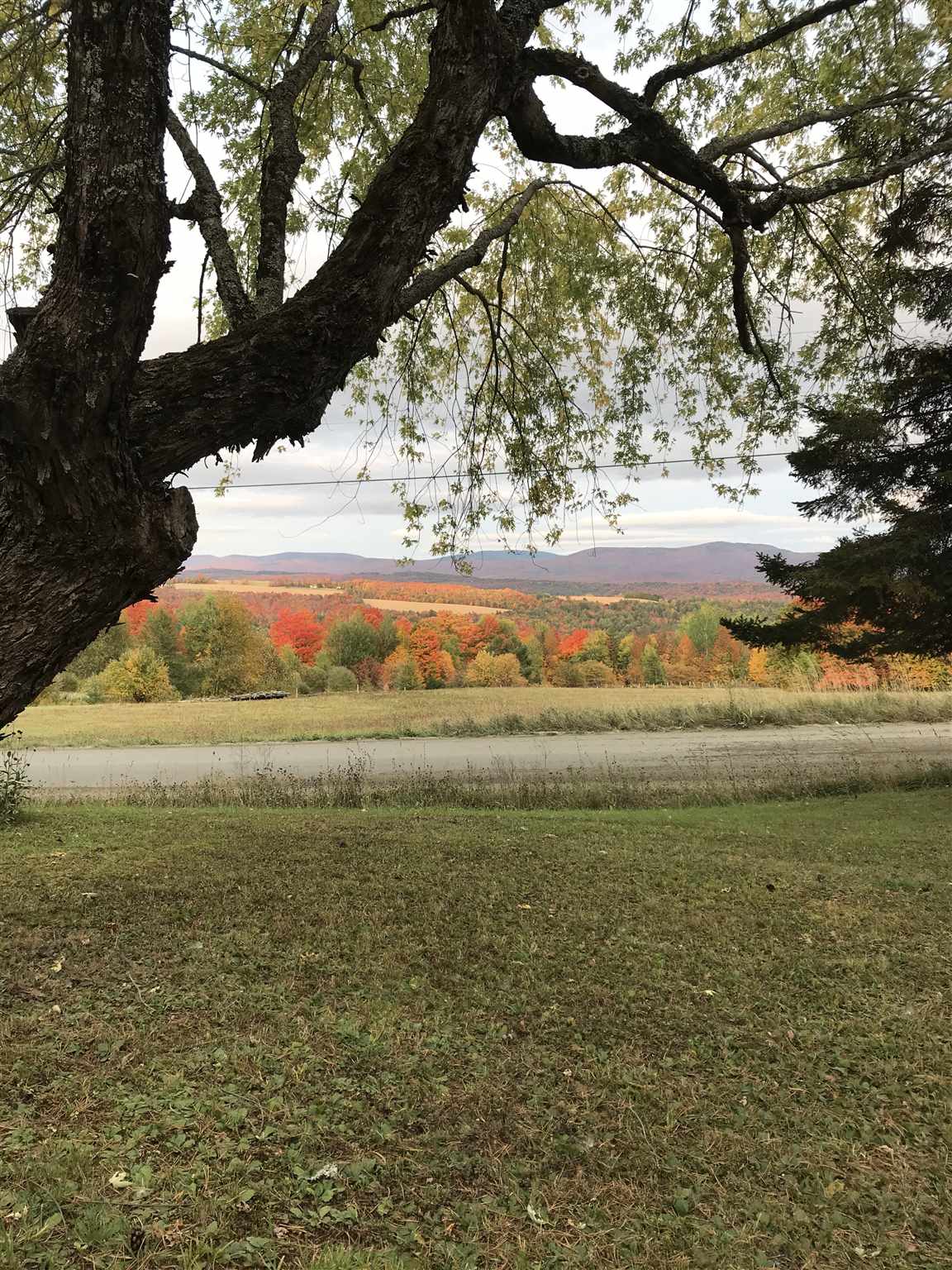 4251 Pudding Hill Road Sutton, VT 05867 - Photo 15 of 15 Gallery Image 15