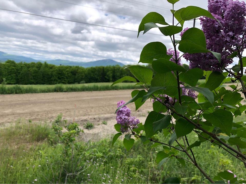 4251 Pudding Hill Road Sutton, VT 05867 - Photo 3 of 15 Gallery Image 3