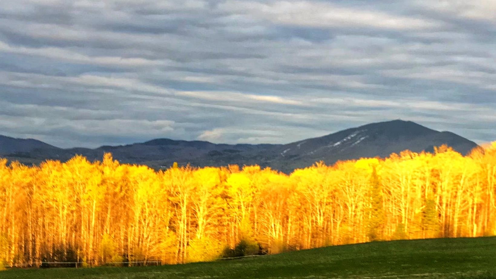 4251 Pudding Hill Road Sutton, VT 05867 - Photo 4 of 15 Gallery Image 4