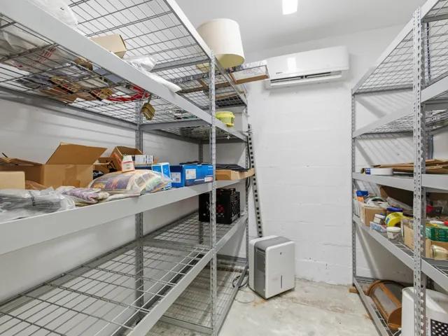 a view of a yard with plants and trees