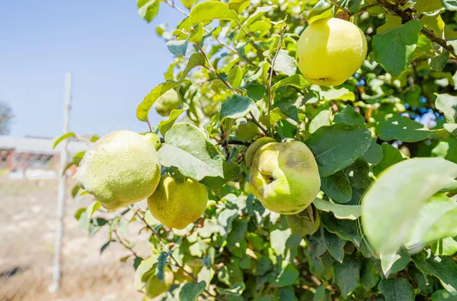 $1,079,000 | 17945 Pesante Road, Salinas, CA 93907