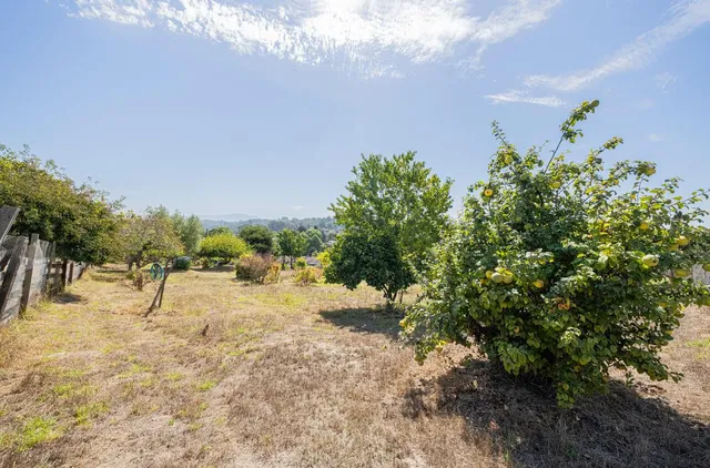 a view of a yard with trees and a house