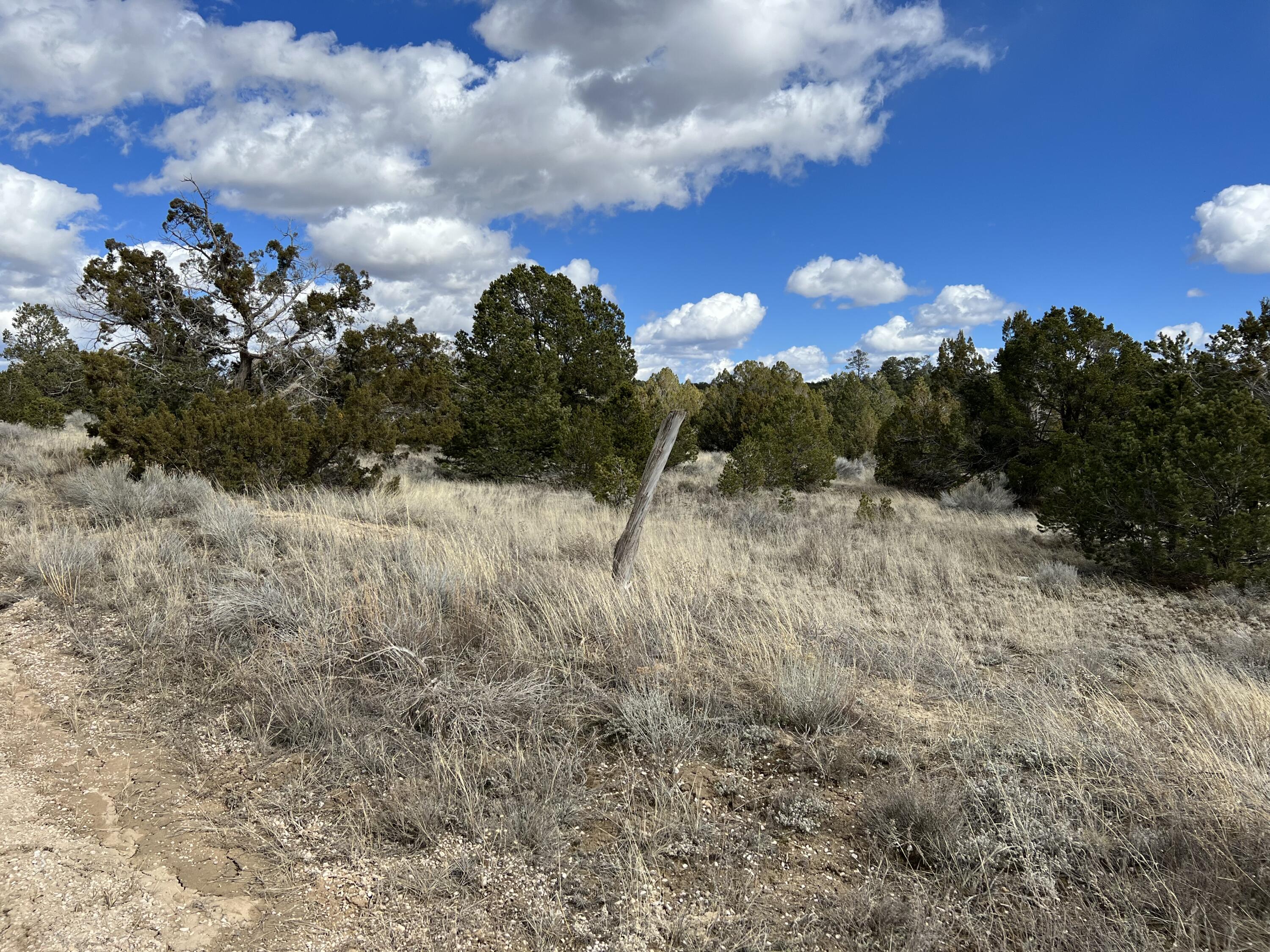 Lot 14 Candy Kitchen Road Ramah, NM 87357 - Photo 18 of 41 Gallery Image 18