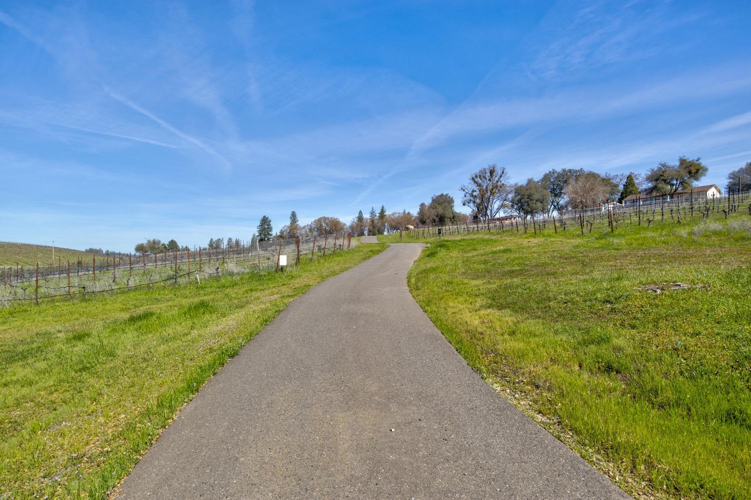 Undisclosed Address Somerset, CA 95684 - Photo 42 of 90 a view of a lake with houses in the back