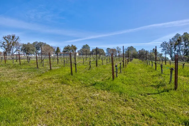a view of a swimming pool with a yard and mountain view