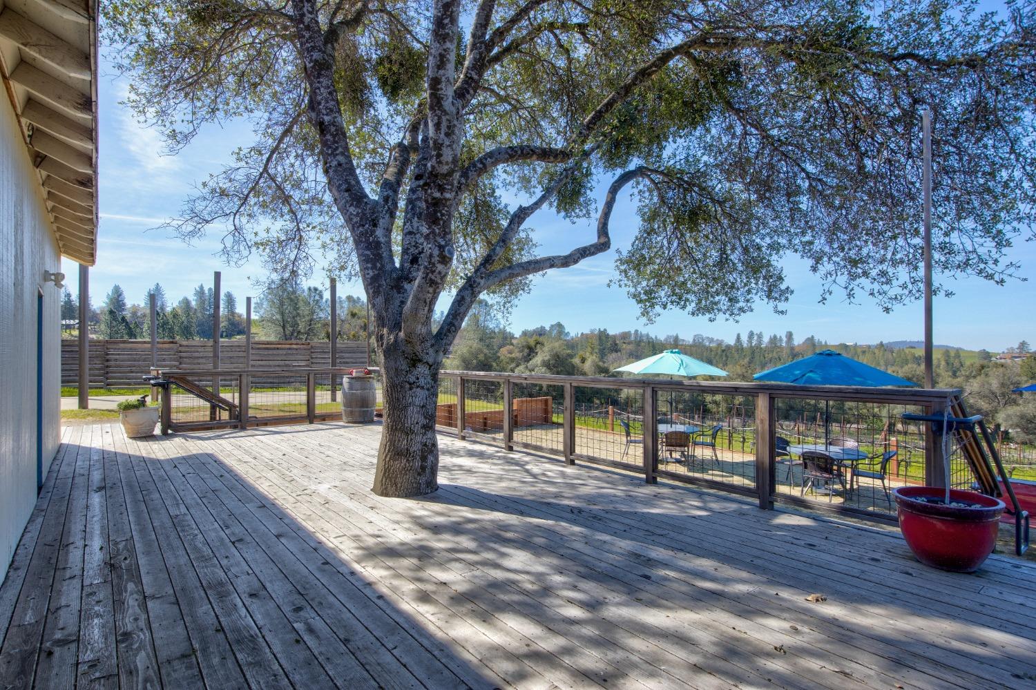 Undisclosed Address Somerset, CA 95684 - Photo 55 of 90 a view of a swimming pool with a patio