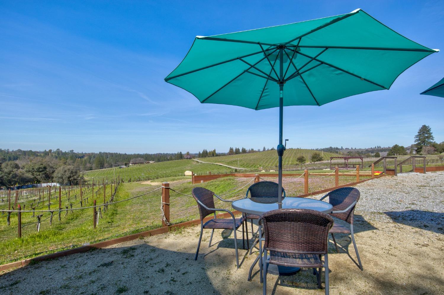 Undisclosed Address Somerset, CA 95684 - Photo 60 of 90 a view of a lake with a table and chairs under an umbrella