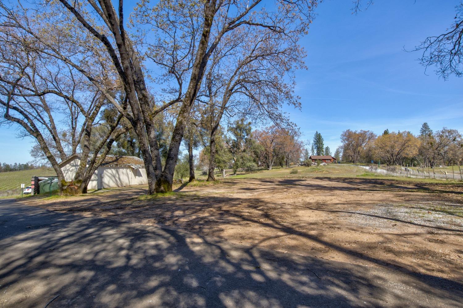 Undisclosed Address Somerset, CA 95684 - Photo 74 of 90 a view of dirt yard with a large tree
