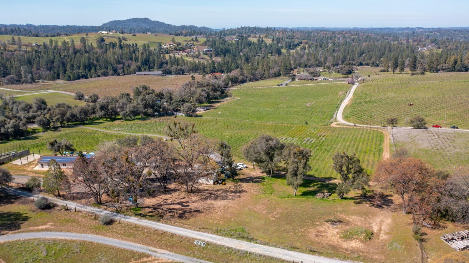 Undisclosed Address Somerset, CA 95684 - Photo 89 of 90 a view of a park with large trees