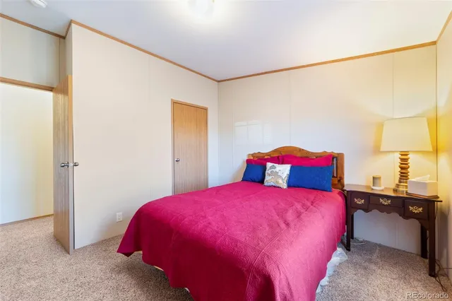 a bedroom with a bed and a closet