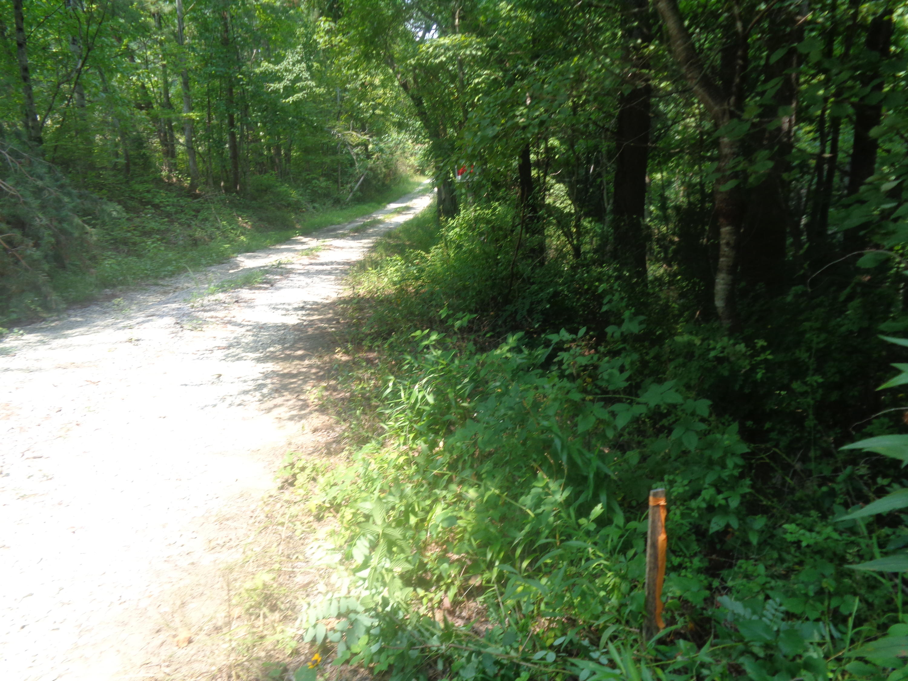 1468 County Farm Road London, KY 40741 - Photo 16 of 26 DSC05468
