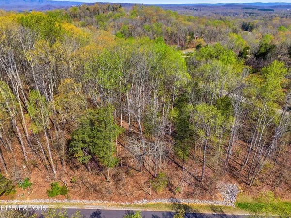 $63,000 | 142 East Shore Drive, Rockwood, TN 37854