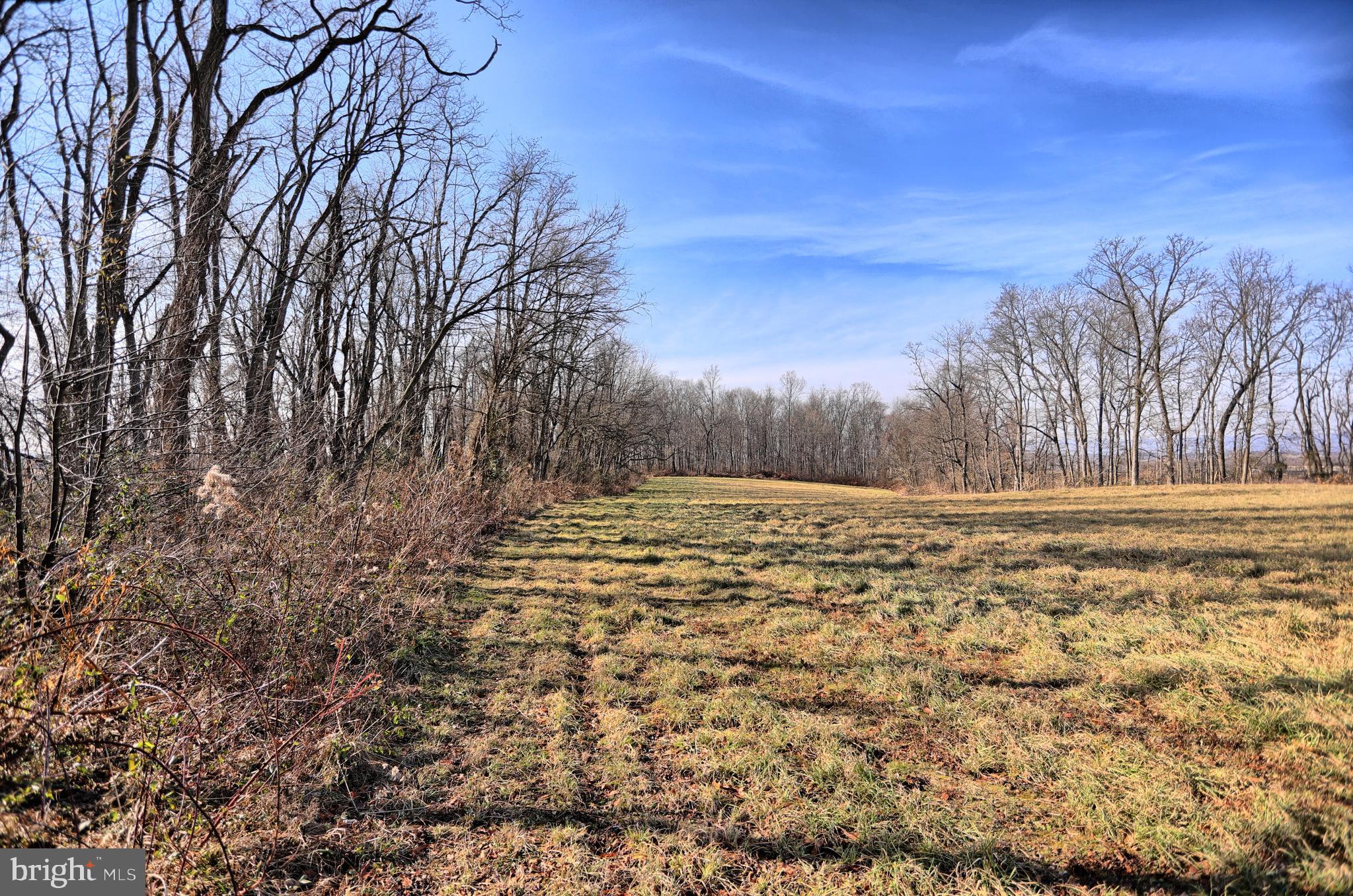 1356 Creek Road Carlisle, PA 17015 - Photo 17 of 67 Gallery Image 17