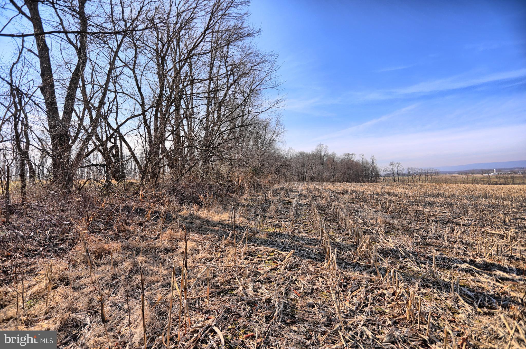 1356 Creek Road Carlisle, PA 17015 - Photo 9 of 67 Gallery Image 9