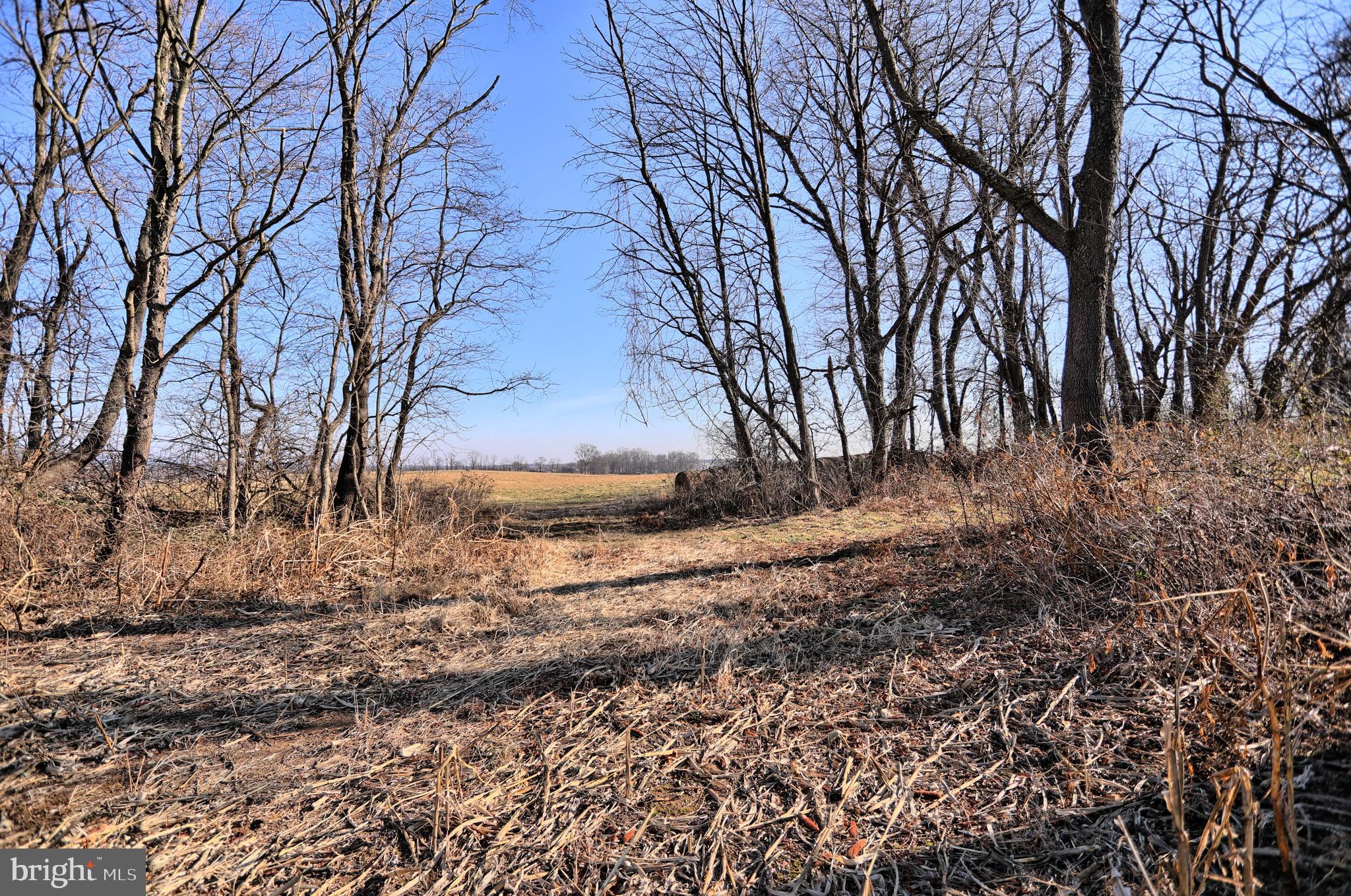 1356 Creek Road Carlisle, PA 17015 - Photo 10 of 67 Gallery Image 10