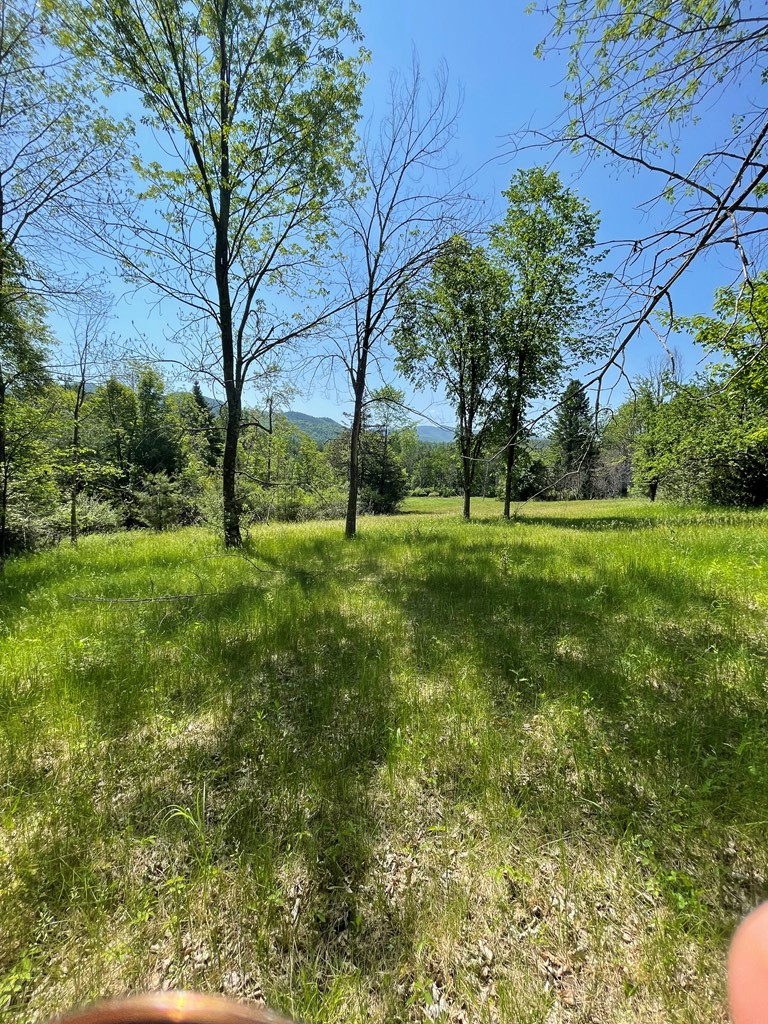 Tbd Stickney Bridge Road Jay, NY 12941 - Photo 10 of 39 Gallery Image 10