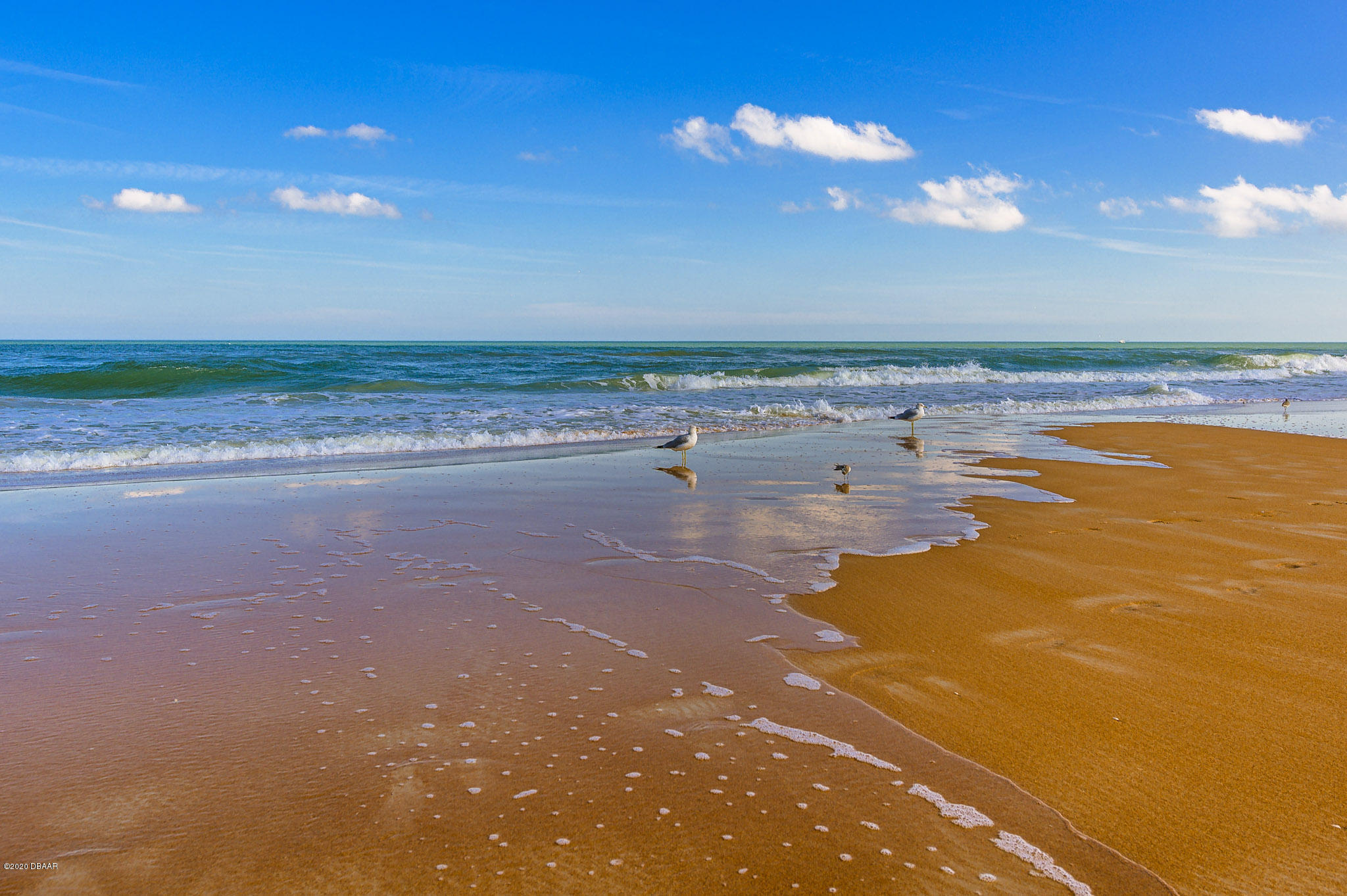 95 Ocean Shore Boulevard Ormond Beach, FL 32176 - Photo 55 of 64 hif386.com-48