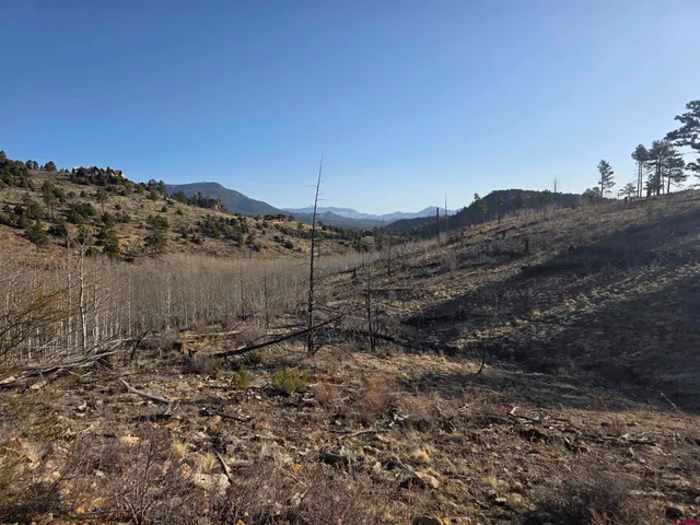 a view of a backyard of a house