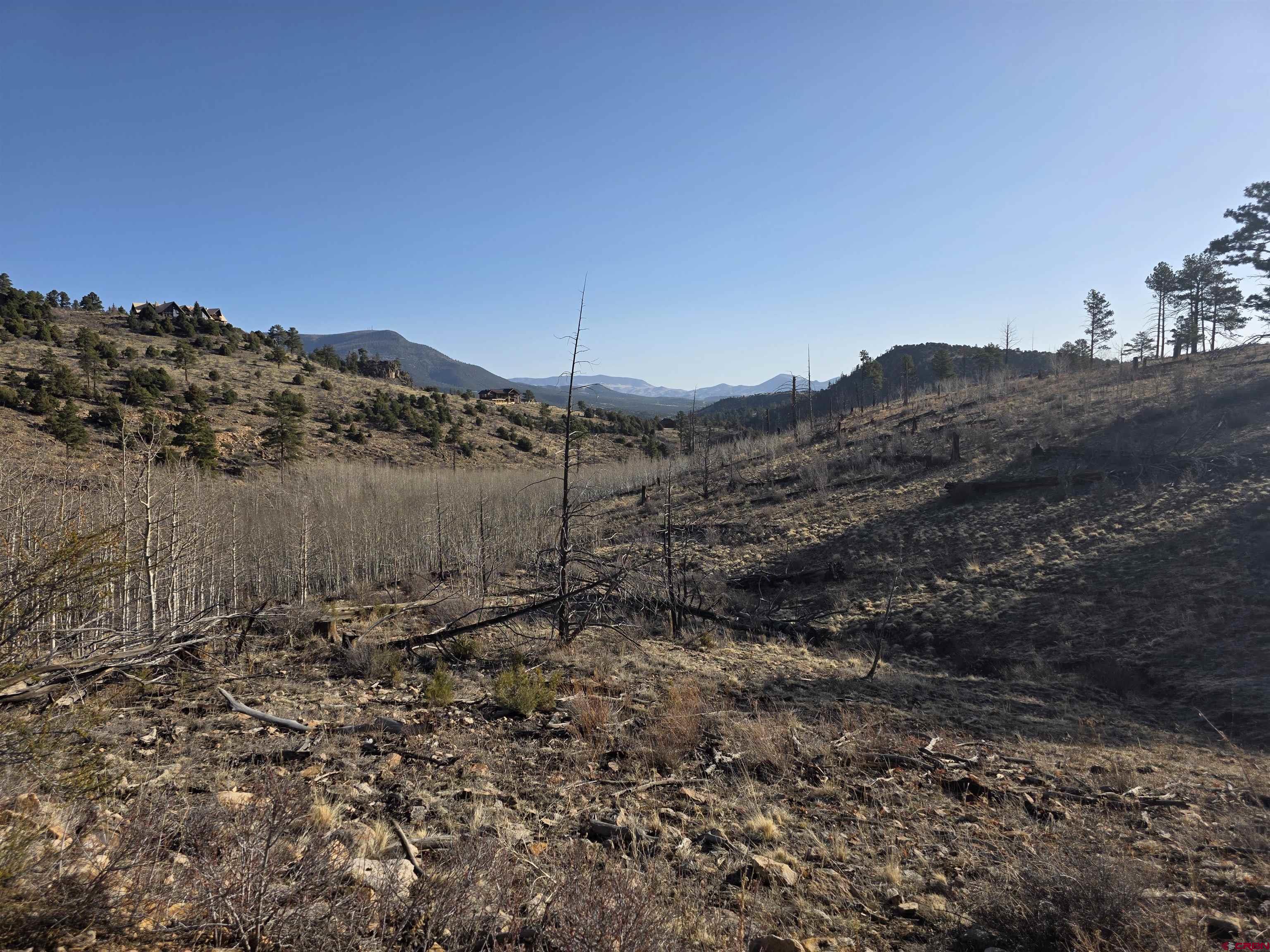 a view of a backyard of a house