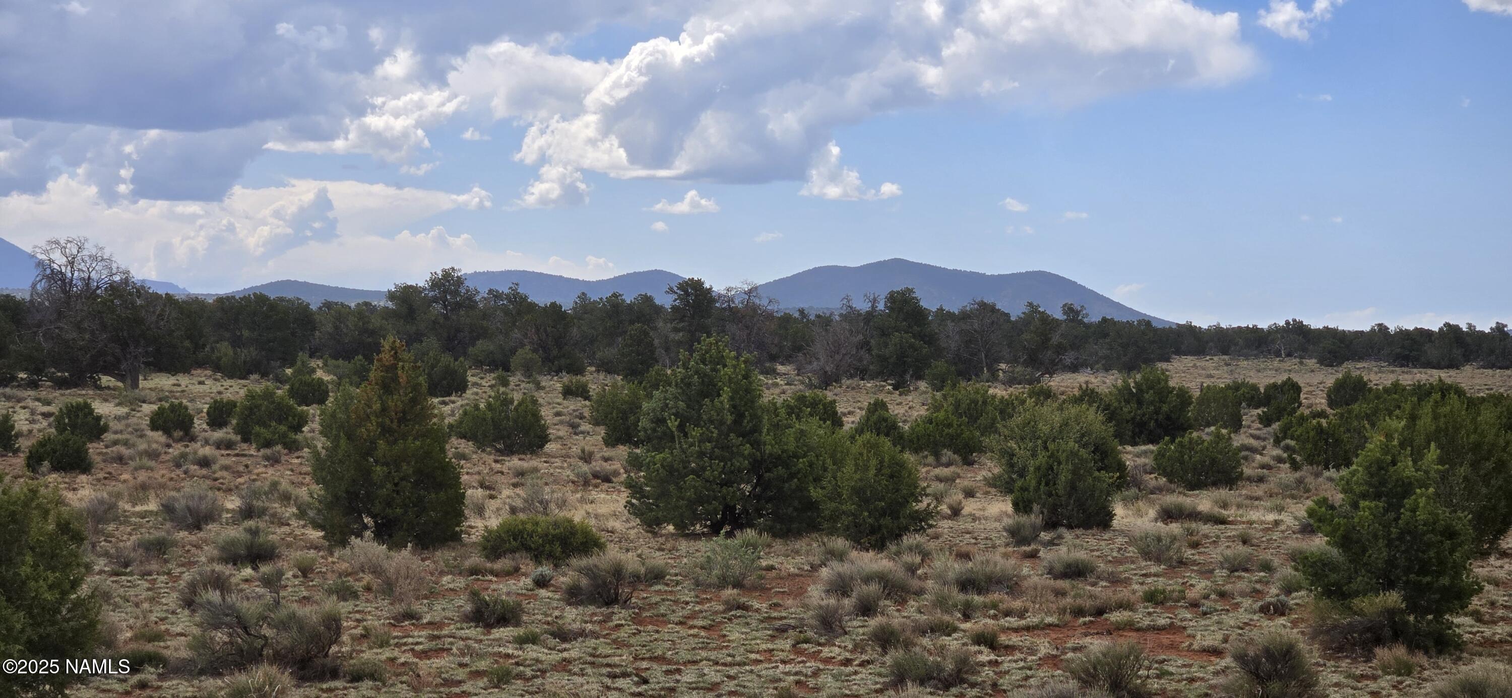 5666 Lasso Loop Williams, AZ 86046 - Photo 2 of 29 20250503_102141