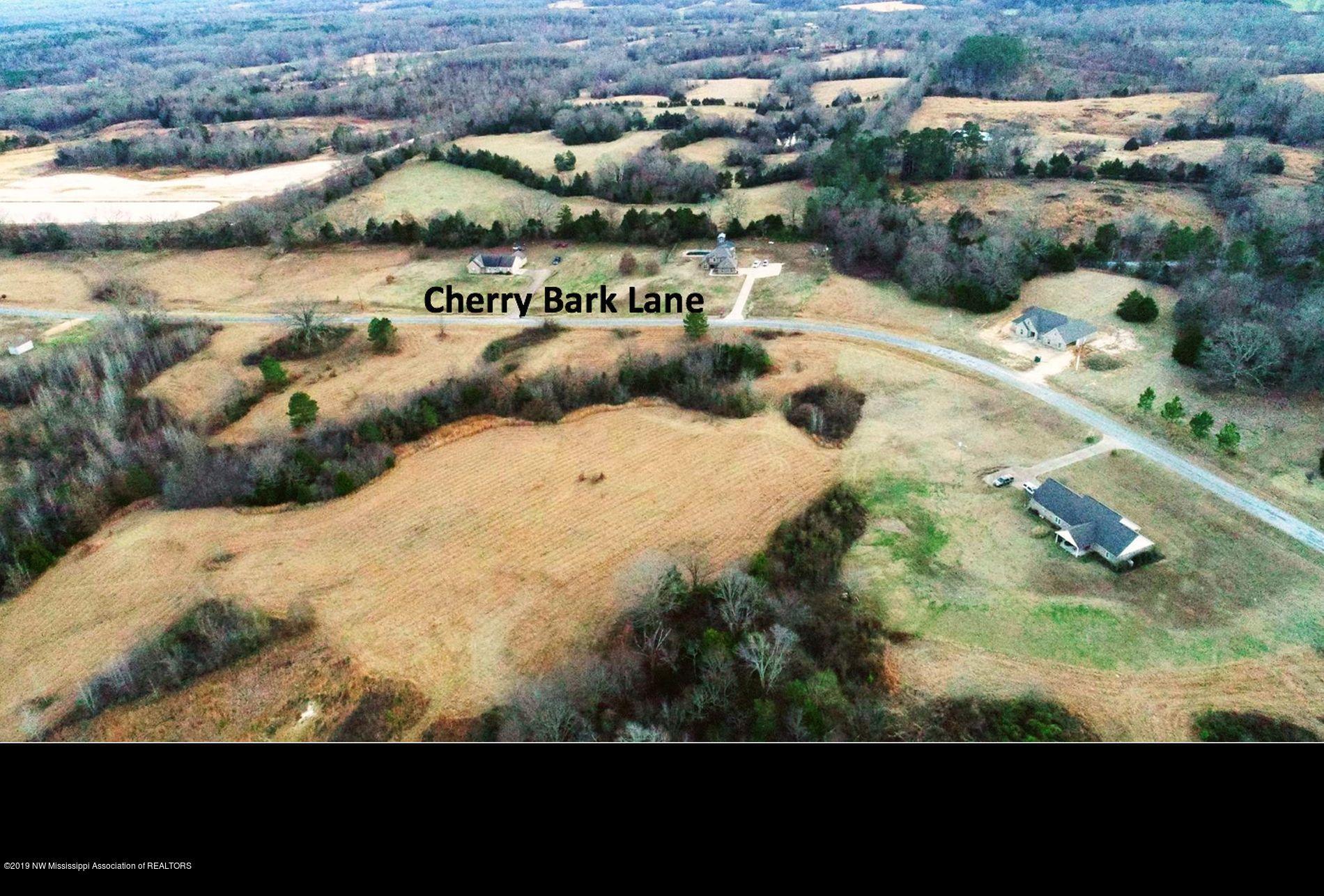 Lot 1 Eureka Road Courtland, MS 38620 - Photo 20 of 48 14.6