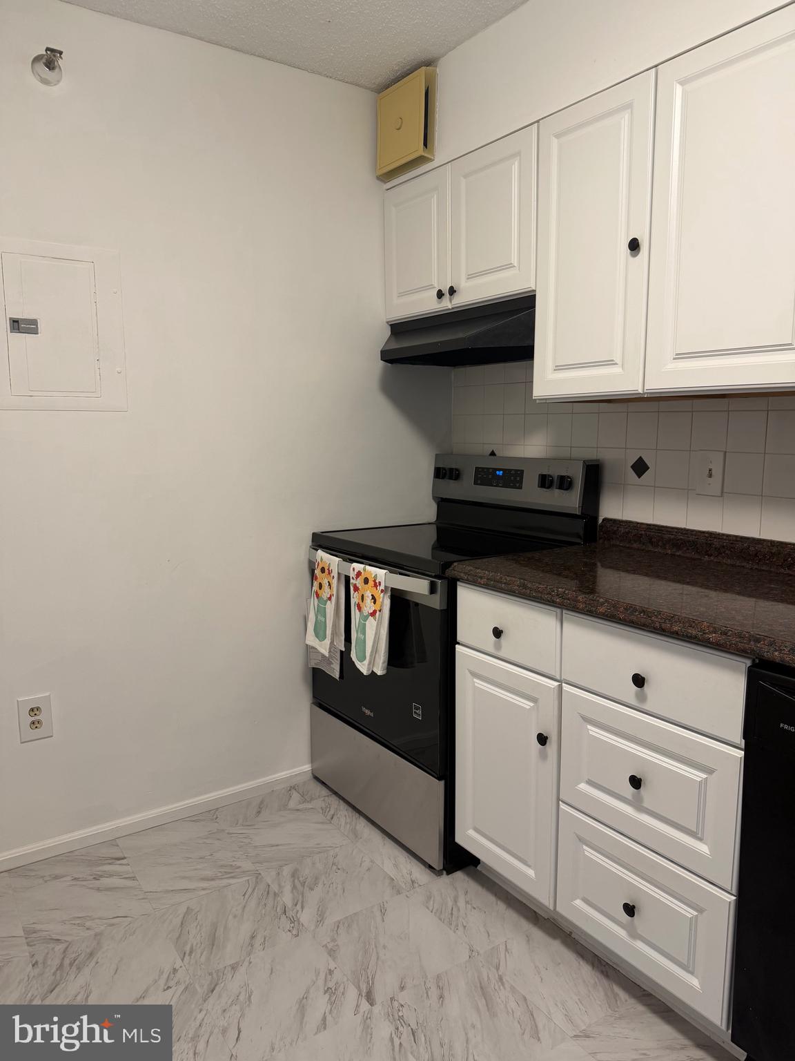 15107 Interlachen Drive, Unit 2119 Silver Spring, MD 20906 - Photo 7 of 27 Kitchen