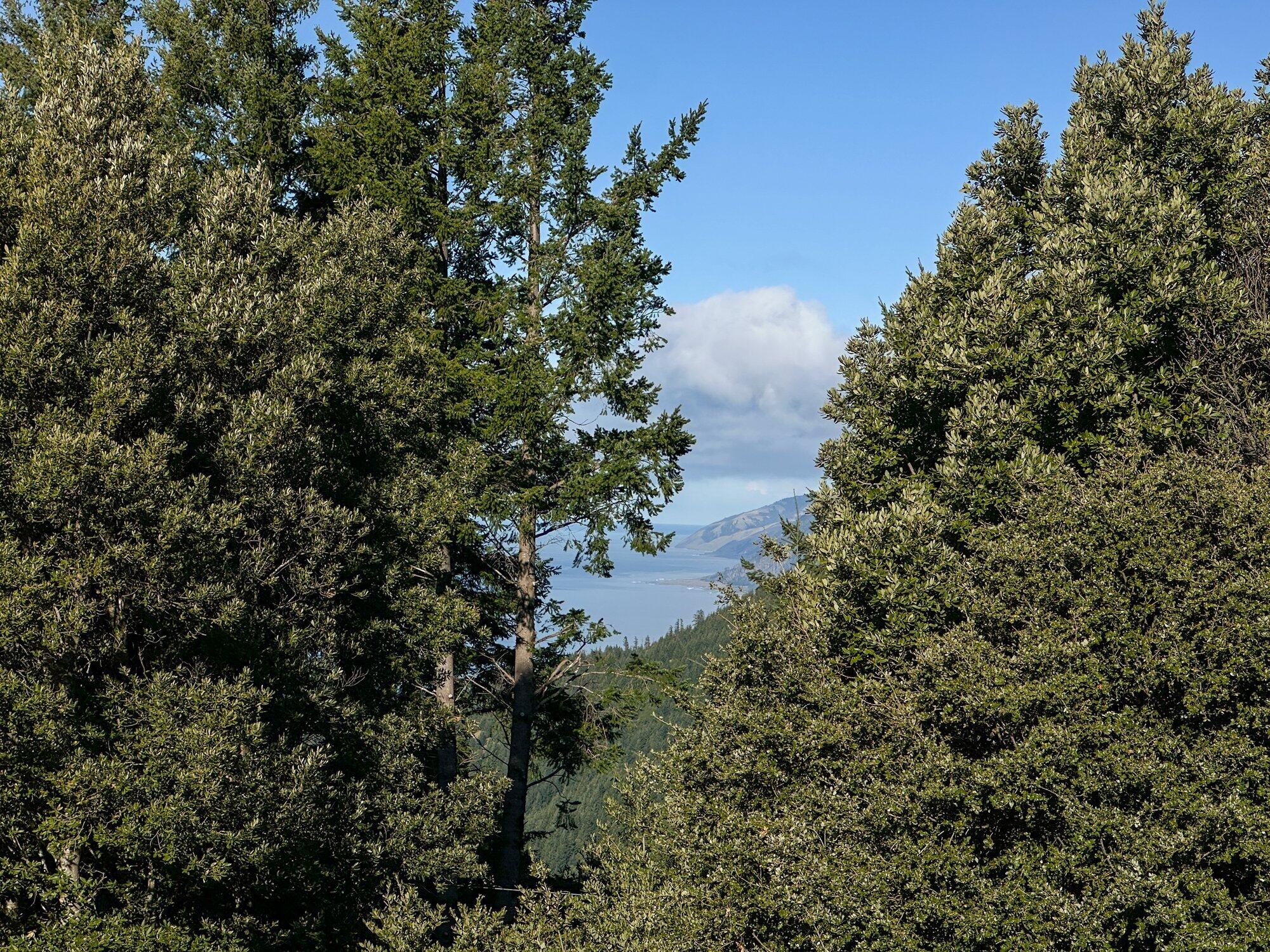 127 Cook Road Shelter Cove, CA 95589 - Photo 19 of 68
