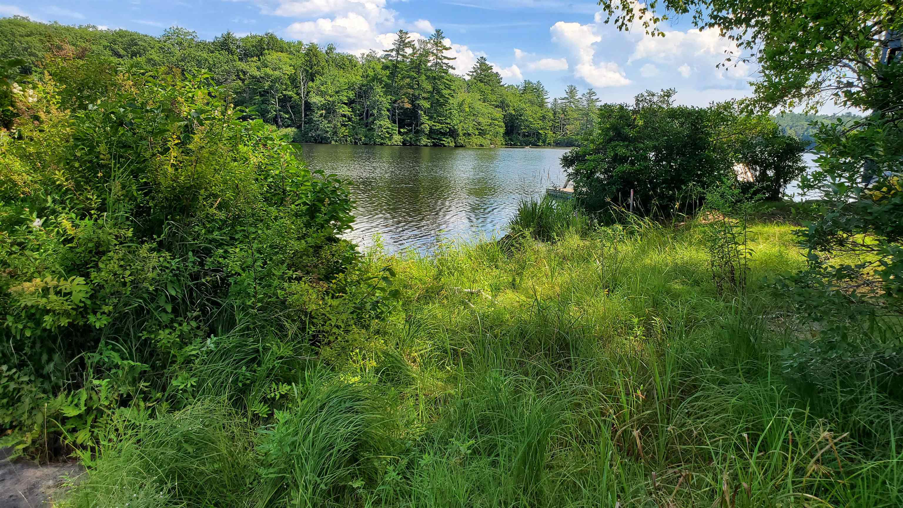 76 Pine Cliff Road Alstead, NH 03602 - Photo 14 of 18