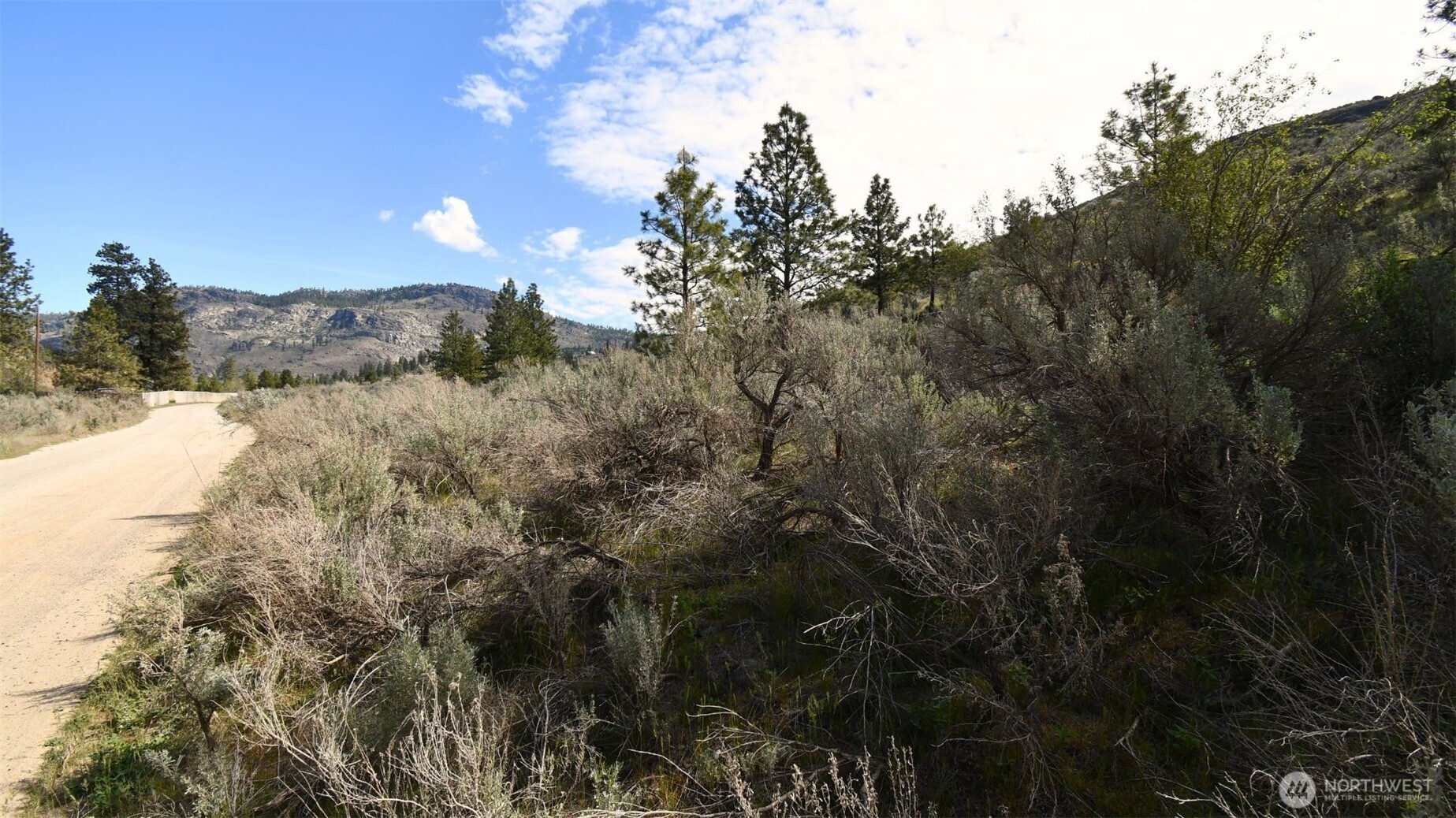 0 Round Up Road, Unit 13 Oroville, WA 98844 - Photo 4 of 6
