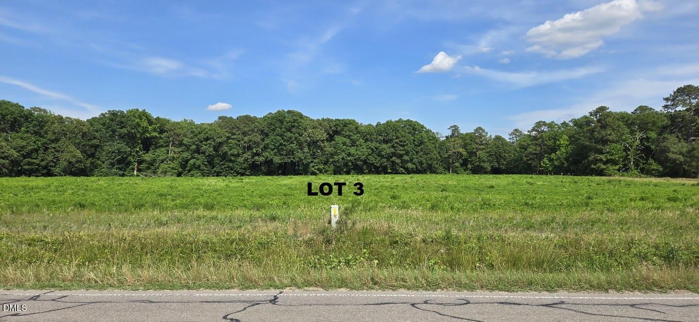 0 Lemon Springs Road Sanford, NC 27332 - Photo 6 of 8