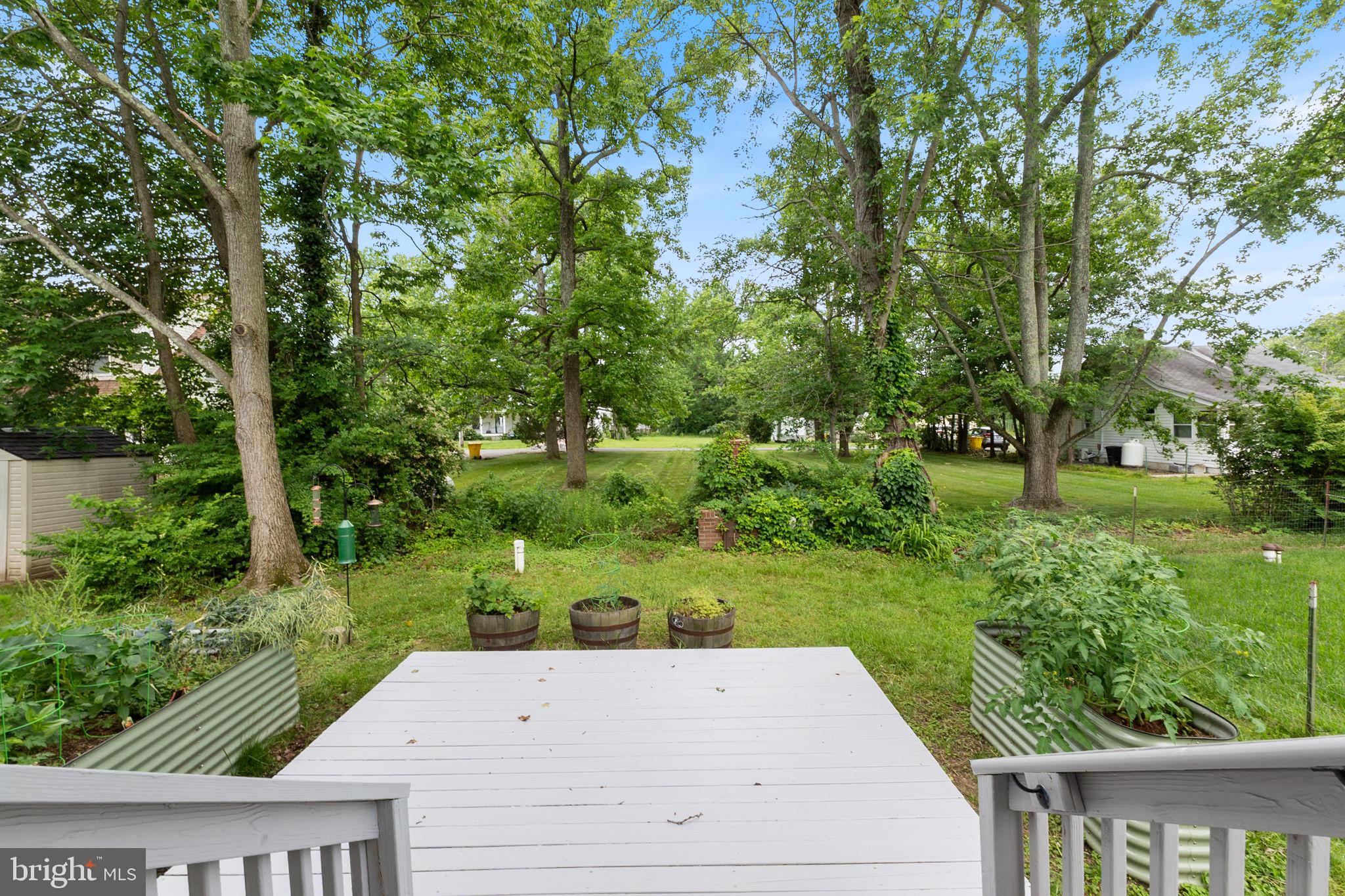 1527 Lincoln Road Shady Side, MD 20764 - Photo 24 of 30 a view of yard with swimming pool and green space