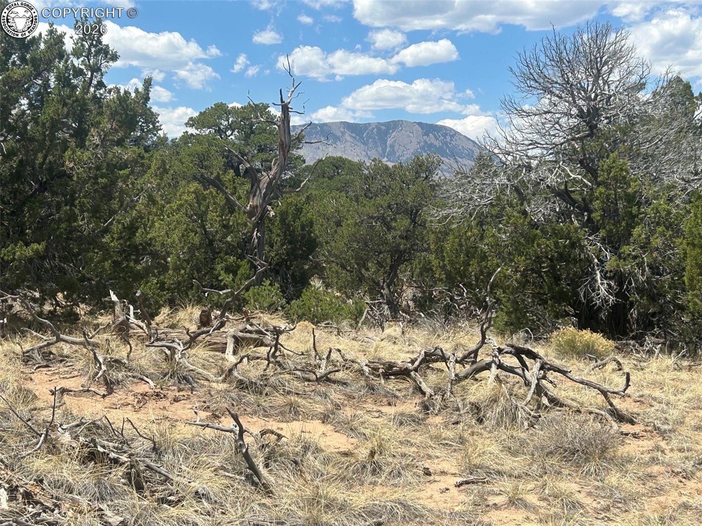 530 County Road Walsenburg, CO 81089 - Photo 1 of 12 Gallery Image 1